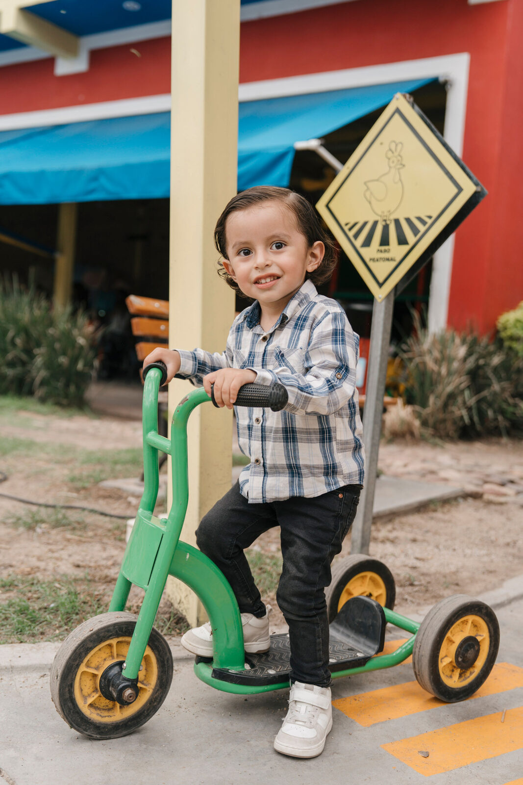 Preparativos de la fiesta