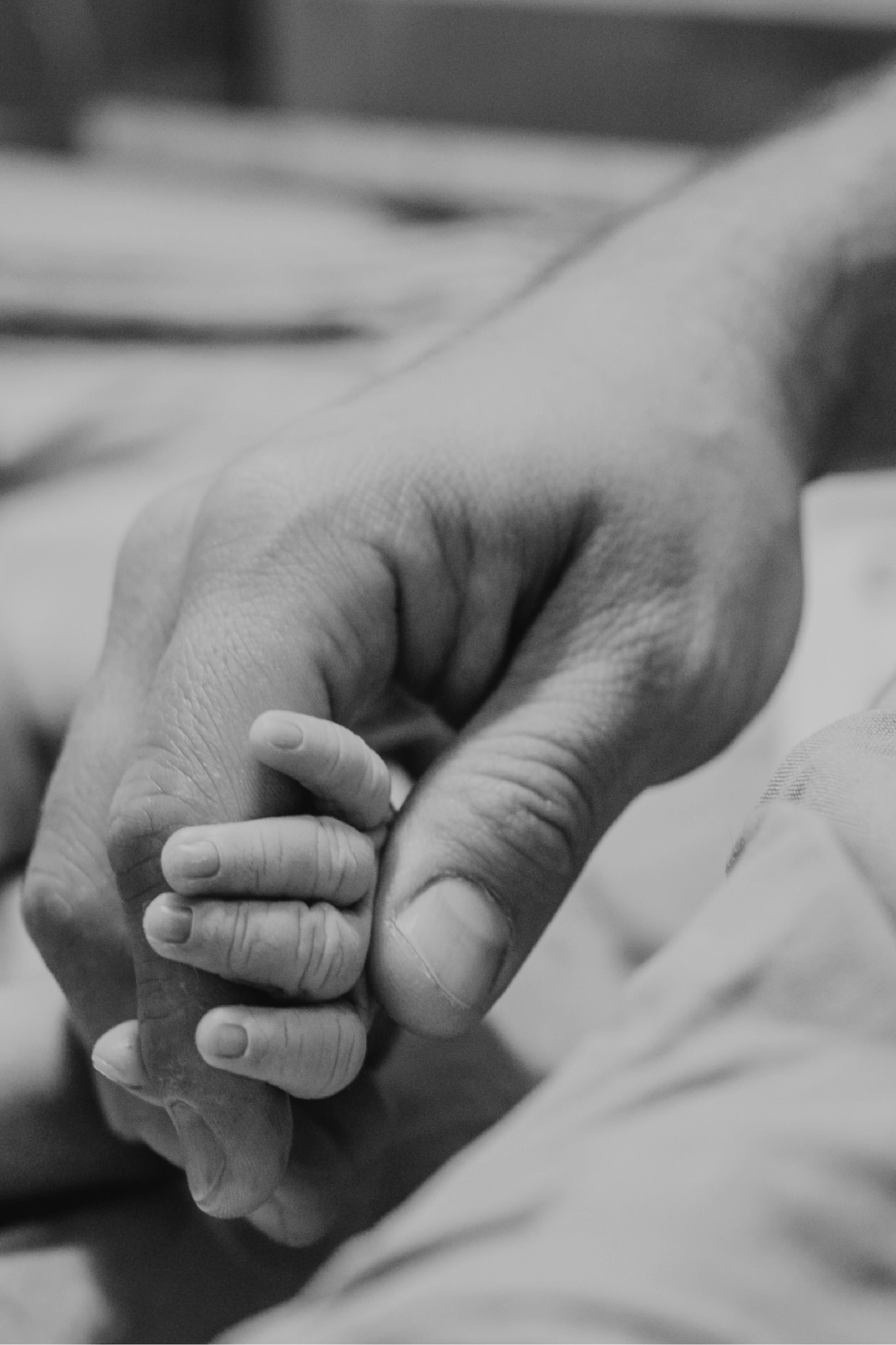 Mano de un padre sosteniendo los dedos de su bebé recién nacido, fotografía en blanco y negro